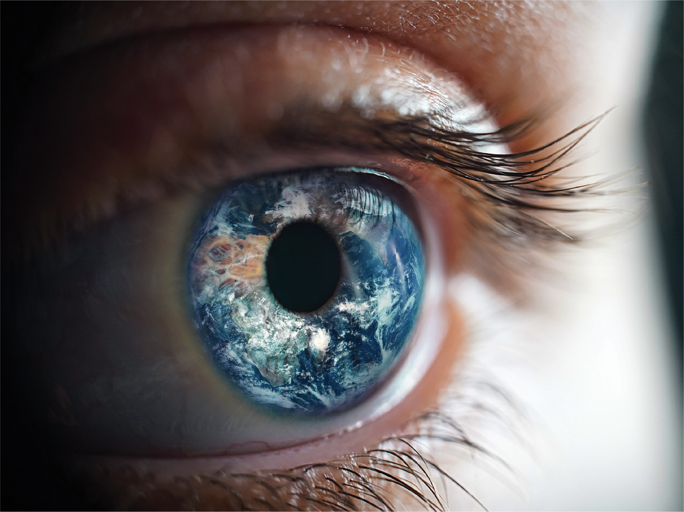 INVISION Insights Newsletter